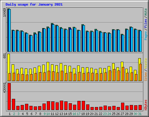 Daily usage for January 2021