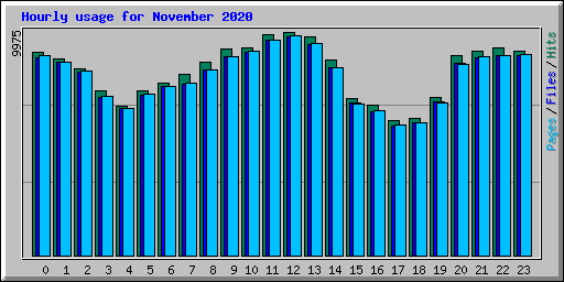 Hourly usage for November 2020