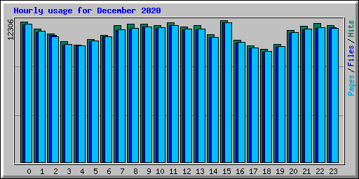 Hourly usage for December 2020