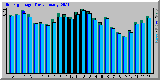 Hourly usage for January 2021