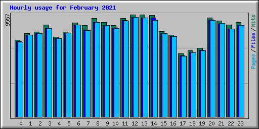 Hourly usage for February 2021